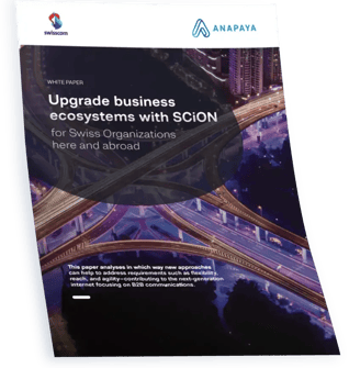 Anapaya-wp-enhancing-wan-connectivity-and-services-for-swiss-organizations-en_Thumbnail
