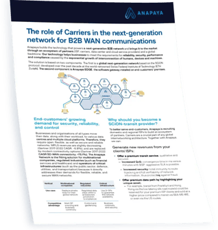 Anapaya_The-role-of-carriers-in-the-next-generation-network-for-B2B-WAN-communications_Thumbnail