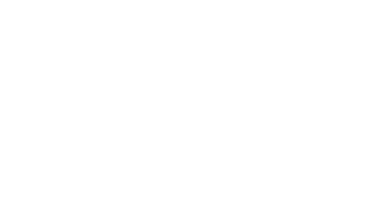 logo-varity-white