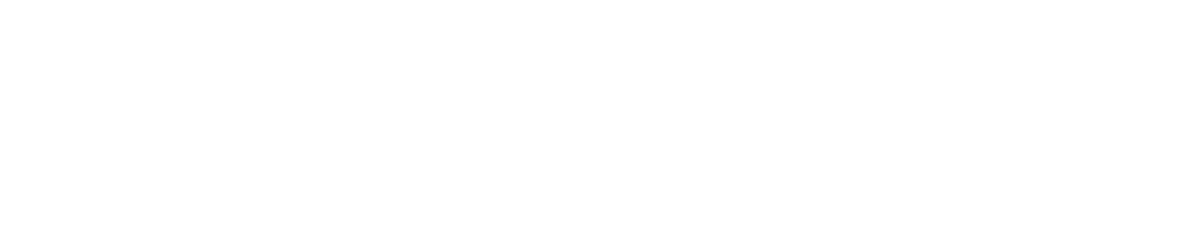 Logo_Litecom_white