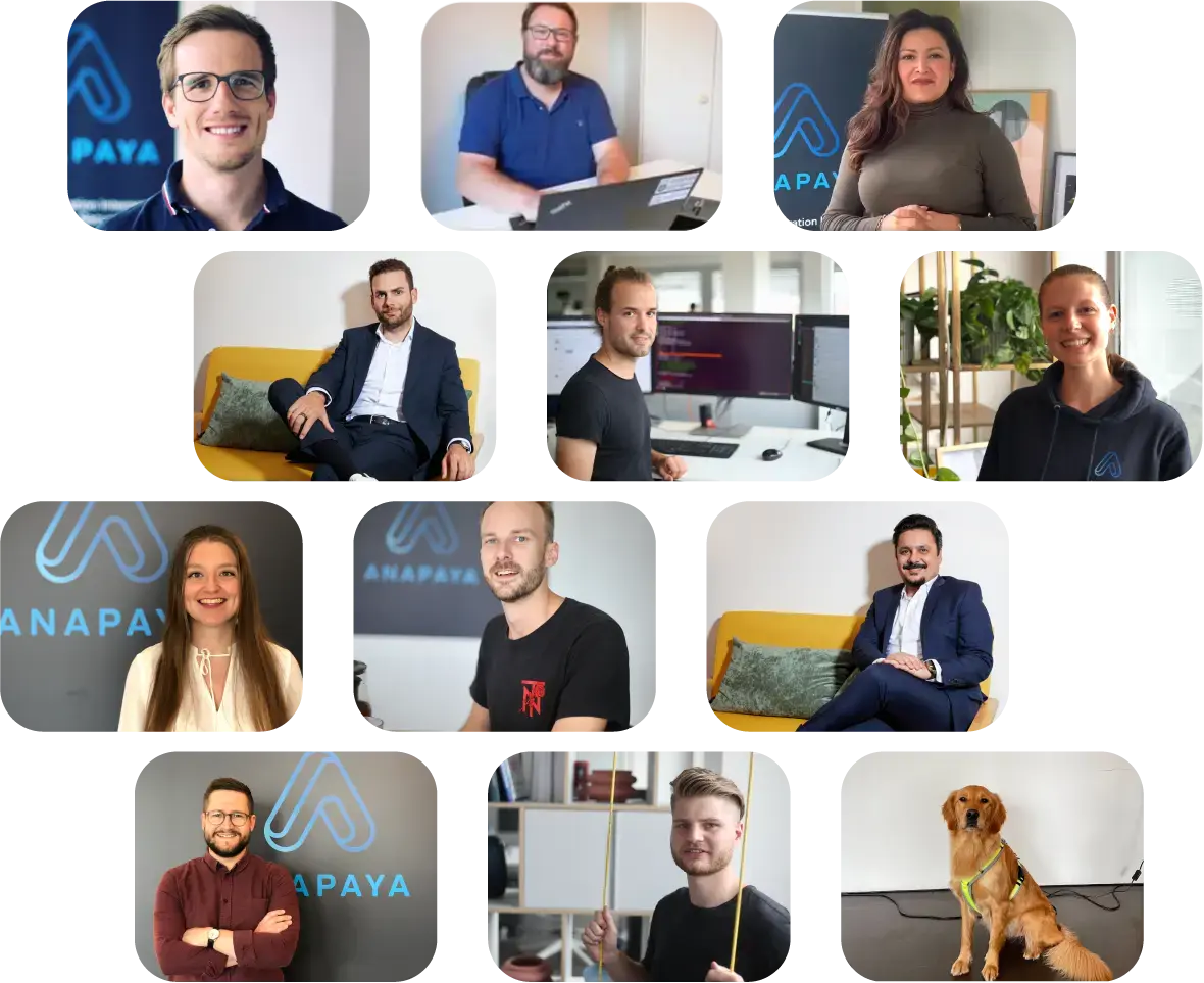 Anapaya Careers-Team Collage